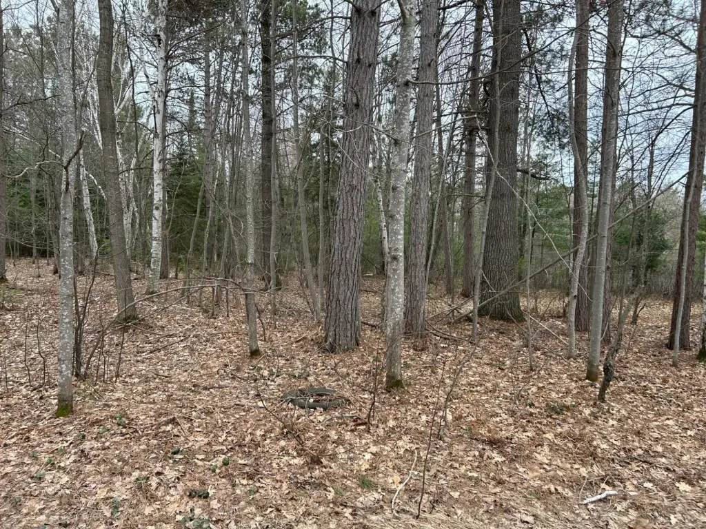 Picture 14