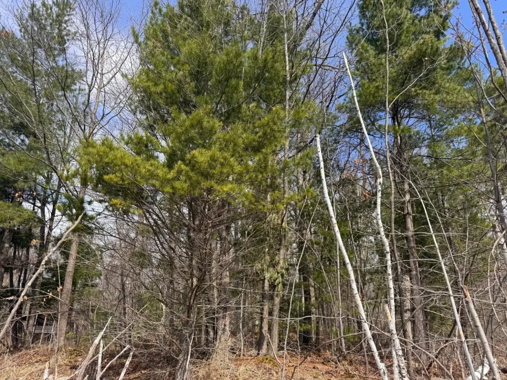 Picture 14