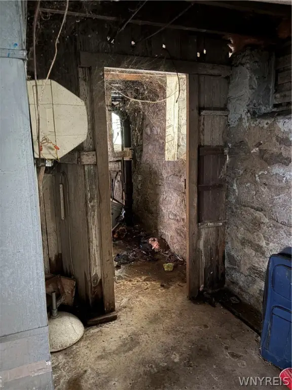 Picture 8