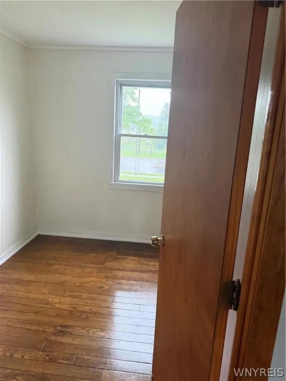 Picture 20