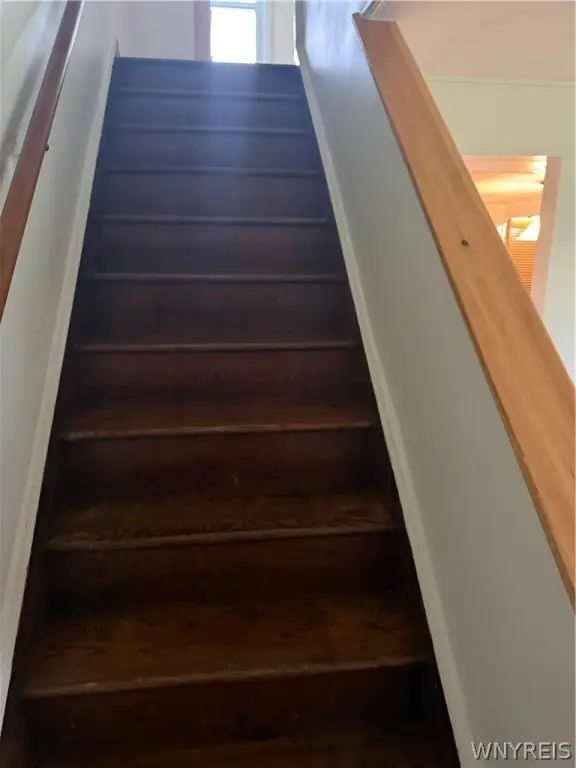 Picture 16