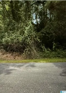 Level Lot with Mature Trees