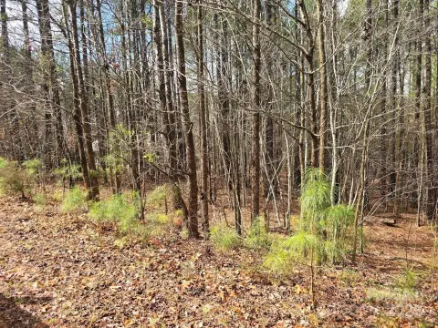 Wooded Lot Near High Rock Lake