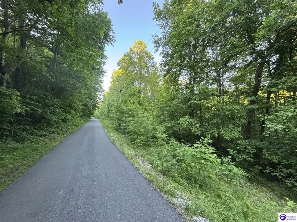Picture 28
