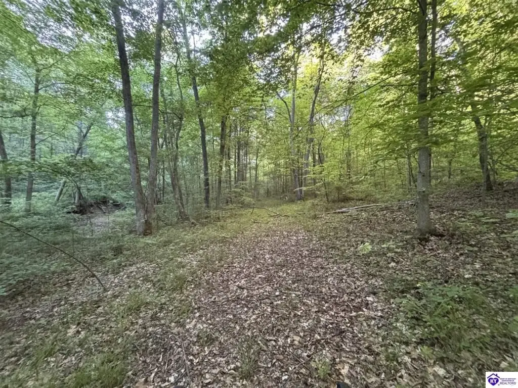 Picture 18