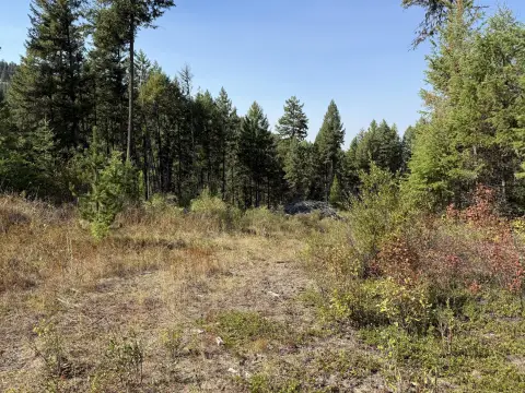 31.5 Acres in Malo, WA