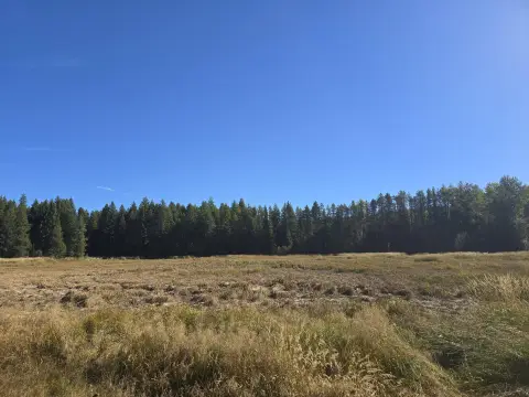 290 Acres Timbered Land, Colville