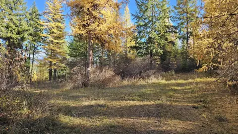 Secluded Acreage with Mountain Views