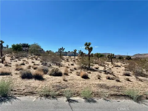 Joshua Tree Land Opportunity