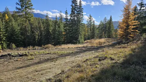 Colville Acreage with Utilities Ready