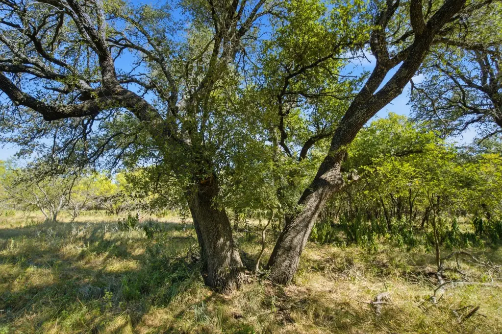 Picture 23