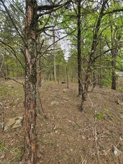 4 Acre Tract in Booneville