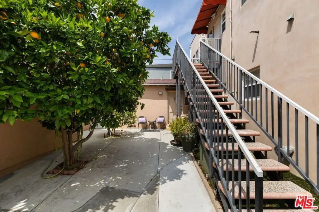 Picture 8