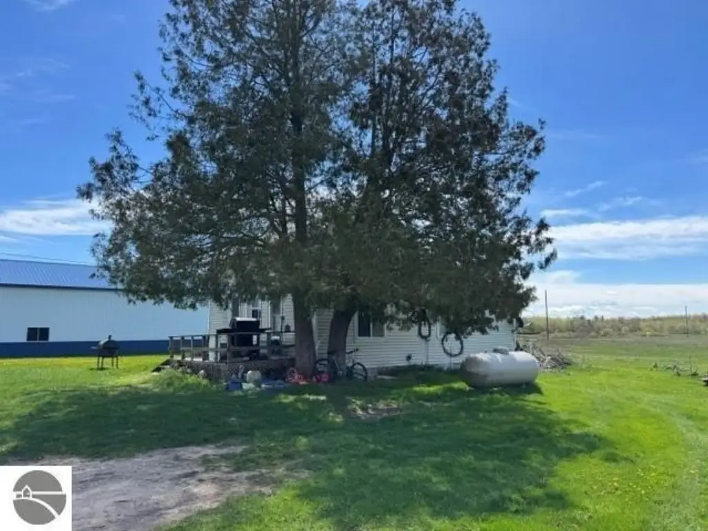 Picture 21