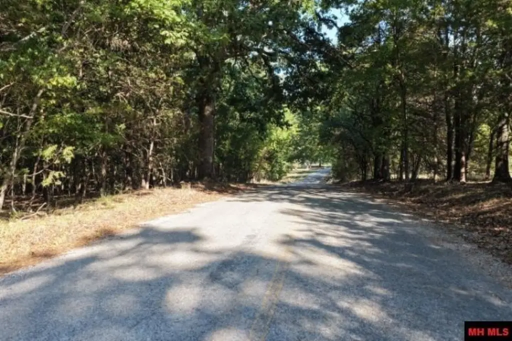 Picture 23