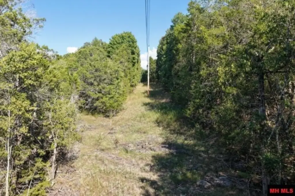 Picture 6