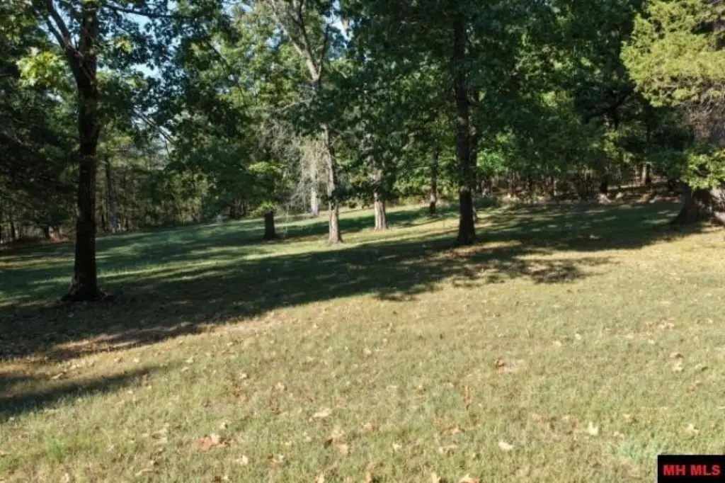 Picture 27