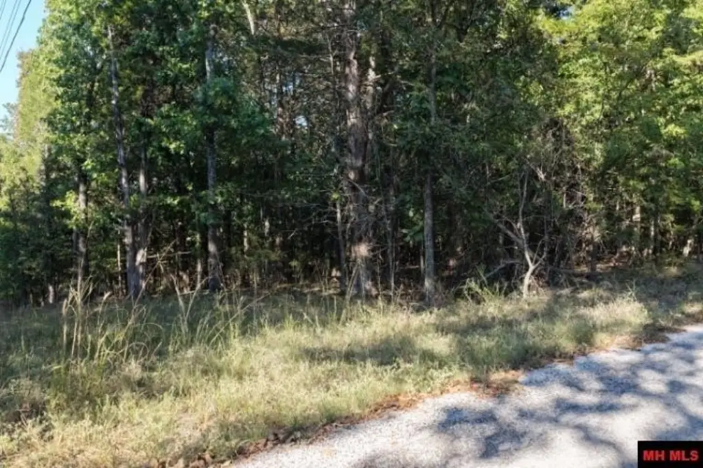 Picture 22