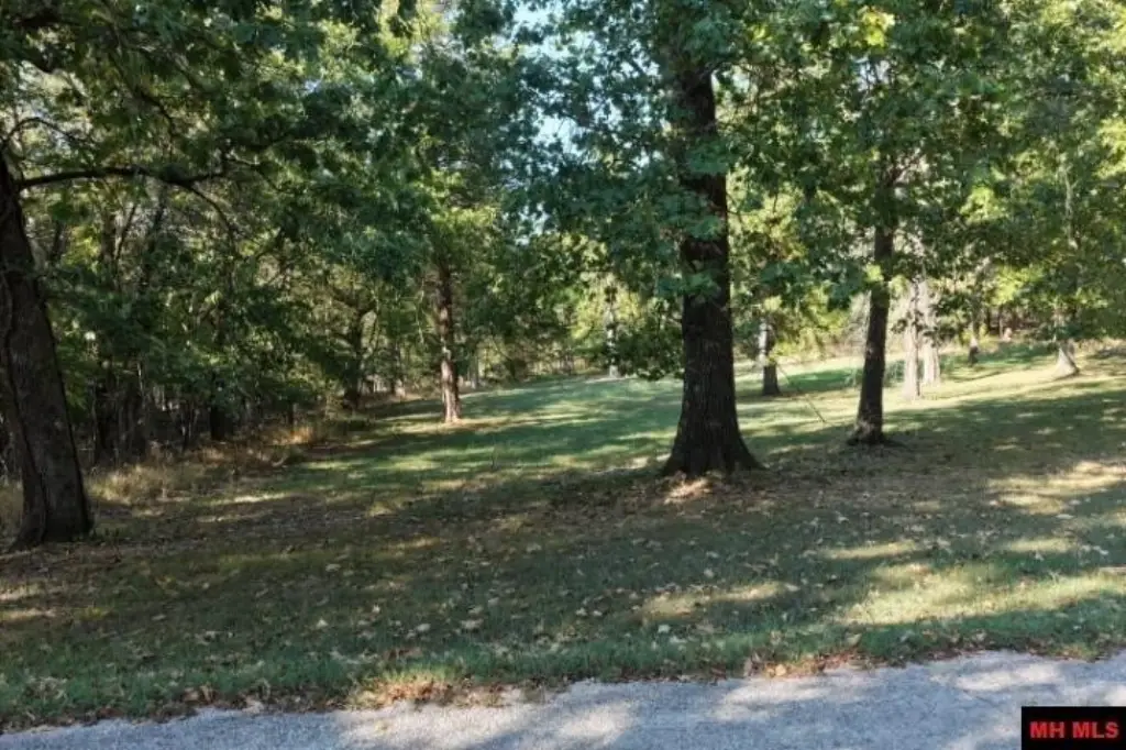 Picture 25