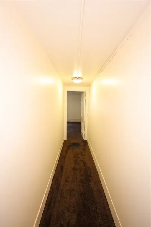 Picture 29