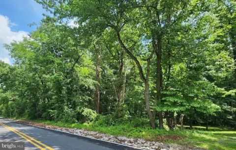 Wooded Residential Home Lot