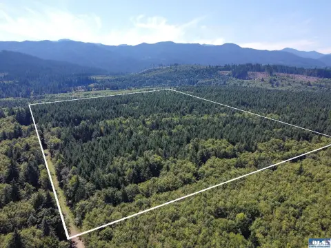 Port Angeles Acreage with Development Potential