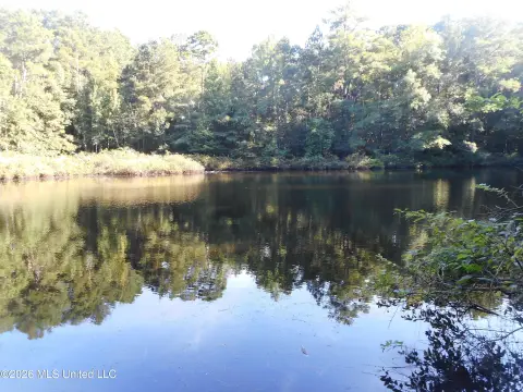 Hunting Land with Pine Timber