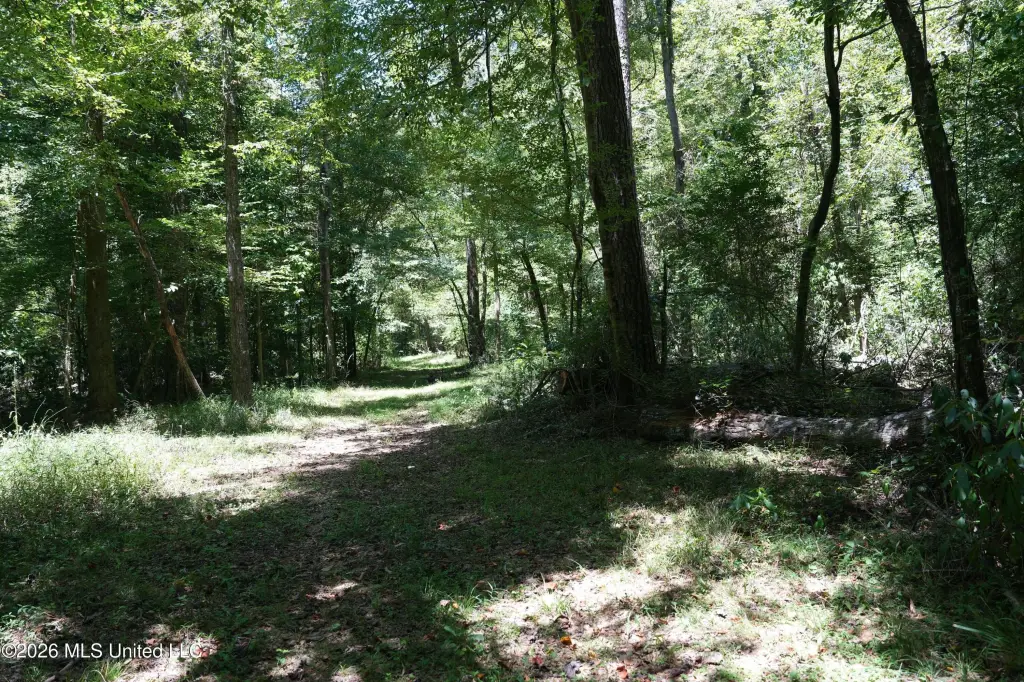 Picture 23
