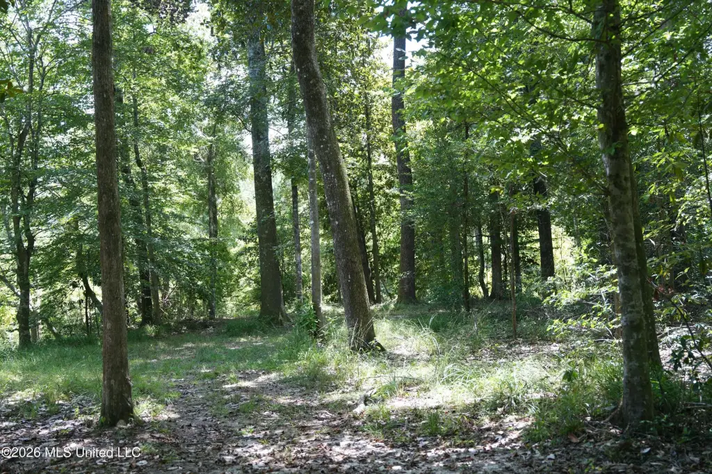 Picture 30