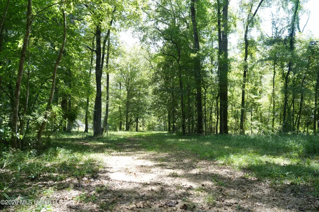 Picture 41