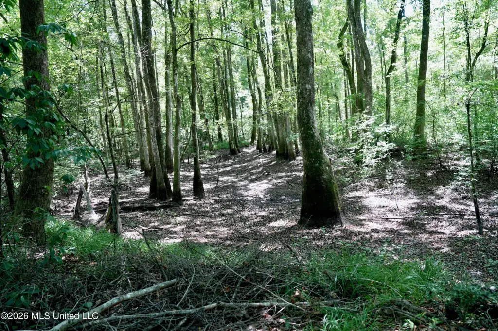 Picture 21