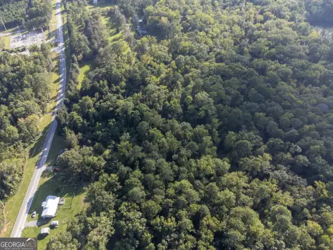 Land in McIntyre, Georgia