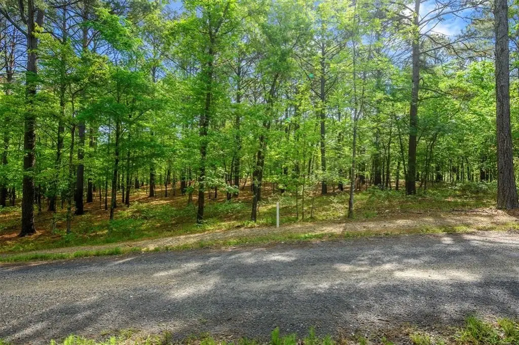 Picture 7