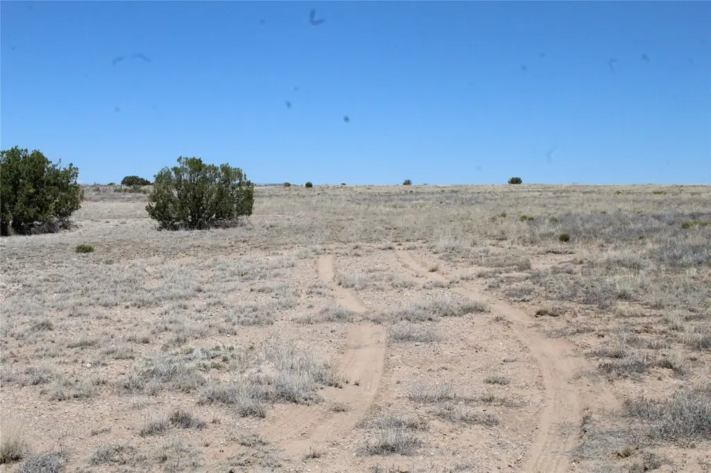 Picture 16