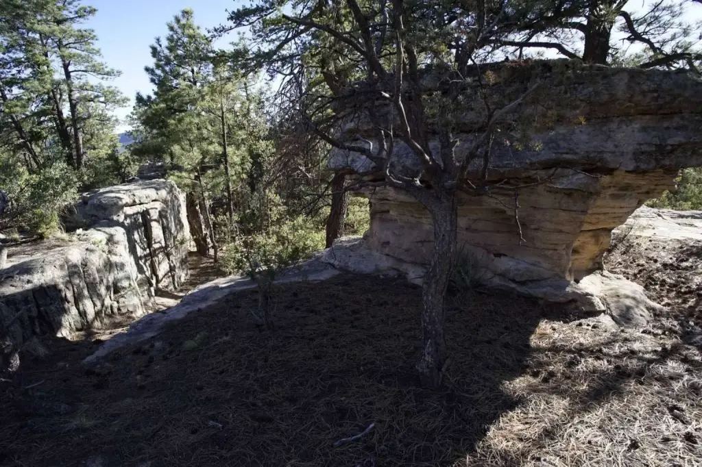 Picture 14