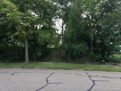 Detroit Land Opportunity Near Woodward