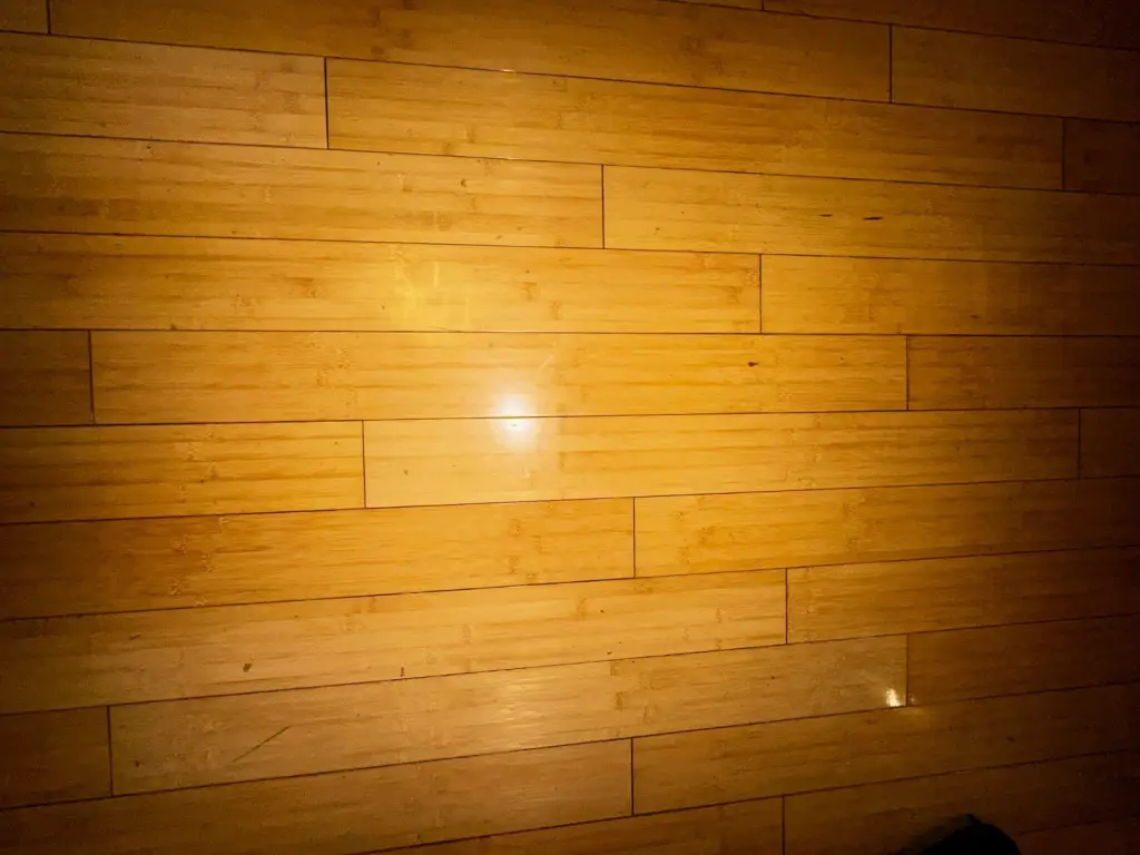 Picture 33