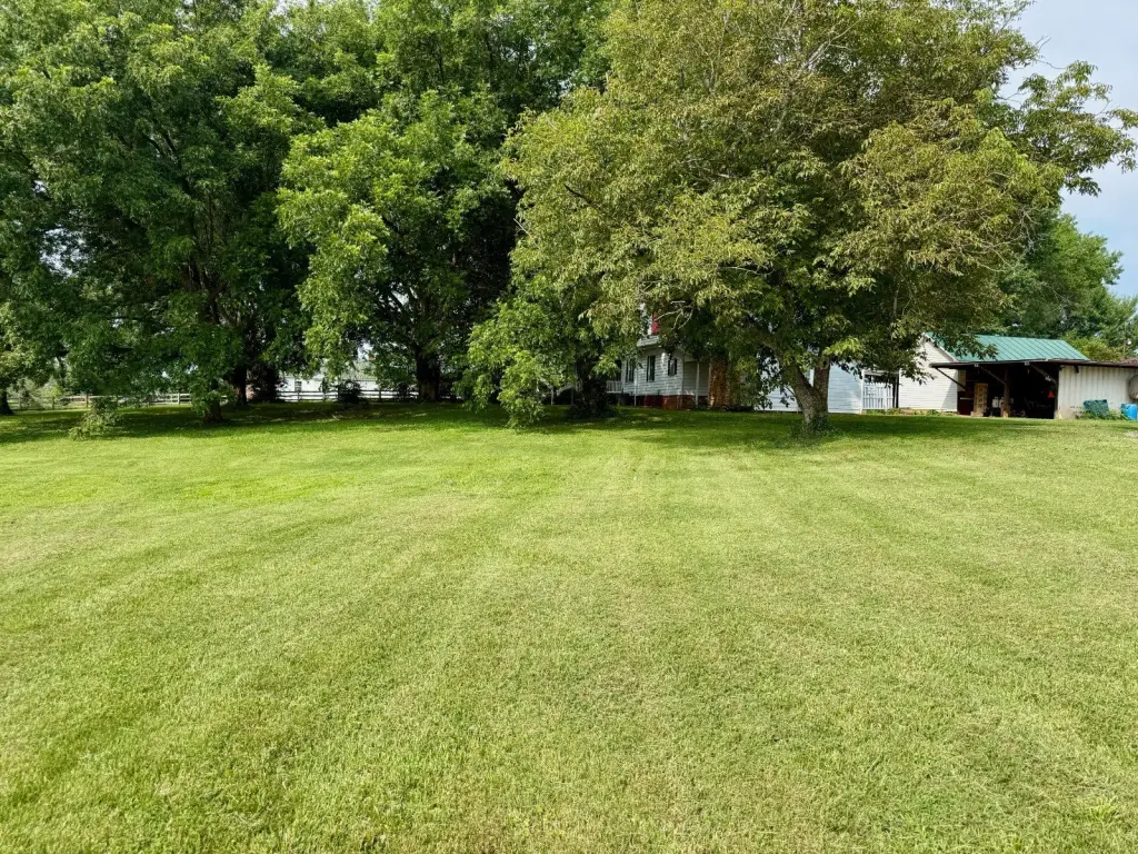 Picture 7