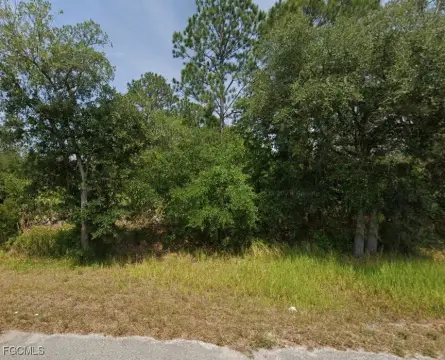 Prime Land in Sebring, Florida