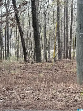 Building Lot Near Logan Martin