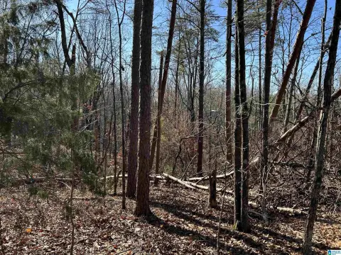 Residential Land in Columbiana, AL
