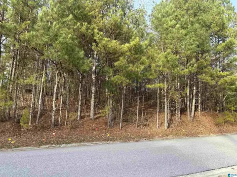 Residential Lot in Chelsea, AL