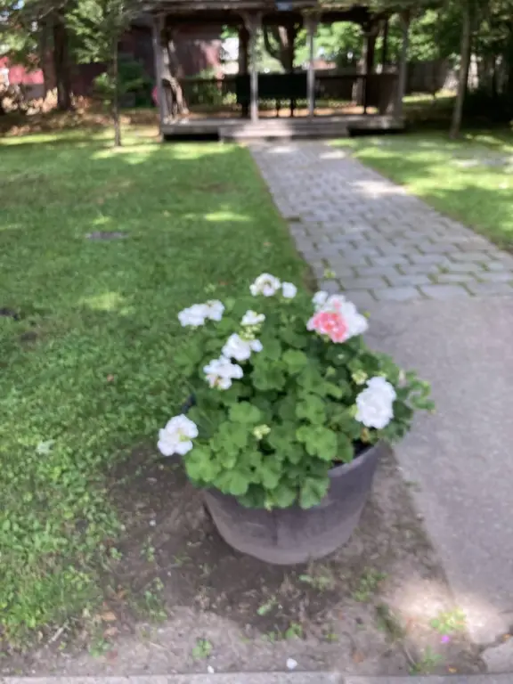 Picture 18