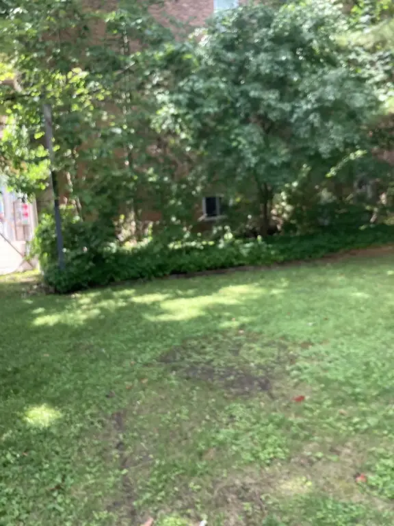Picture 13
