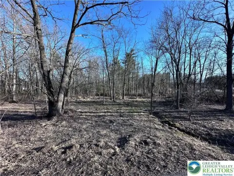 1.4-Acre Lot in Lehigh Township