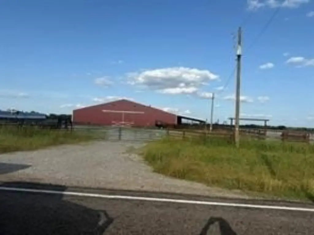 Picture 6