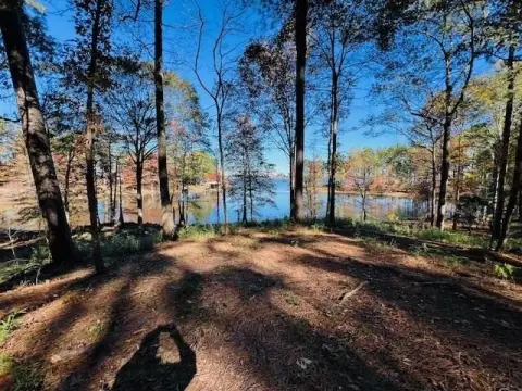 Waterfront Lot on Toledo Bend