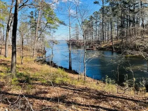 Toledo Bend Lake Oversized Lot