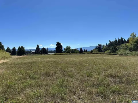 Sequim Acreage with Mountain Views