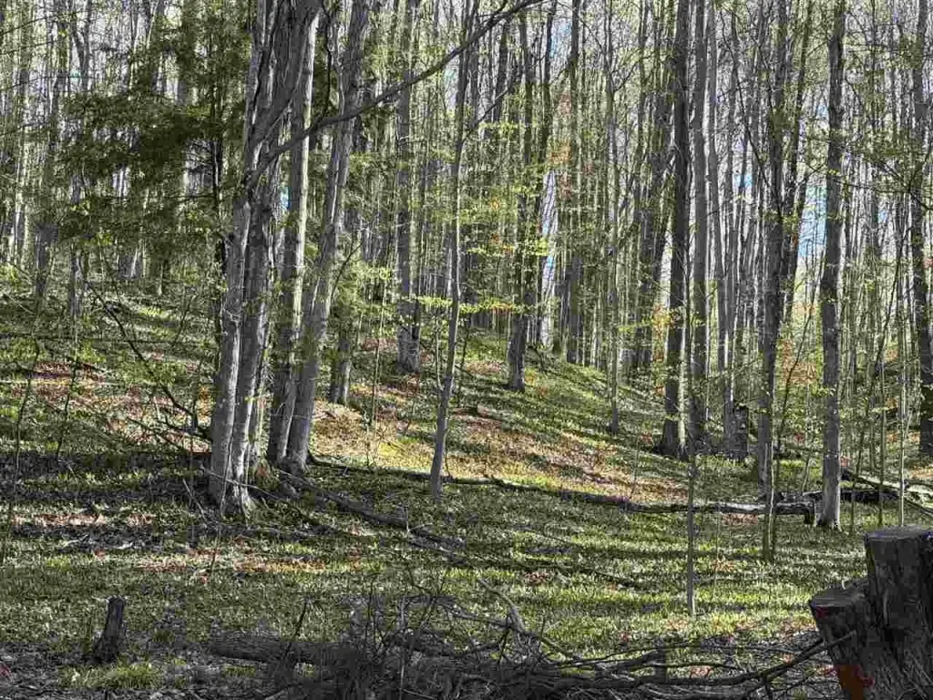 Picture 20